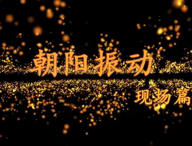 朝陽(yáng)振動(dòng)設(shè)備現(xiàn)場(chǎng)篇